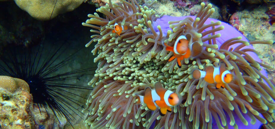 Beaches & Islands Trip