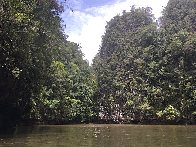Ao Thalane Mangroves