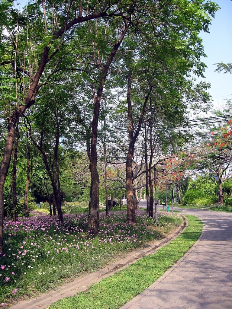 Queen Sirikit Park