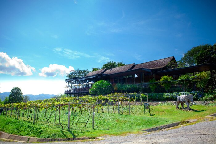 Monsoon Valley Vineyard