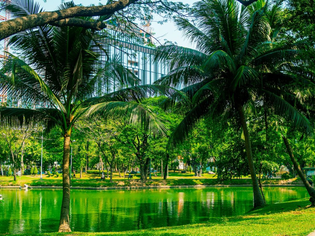 Lumpini Park