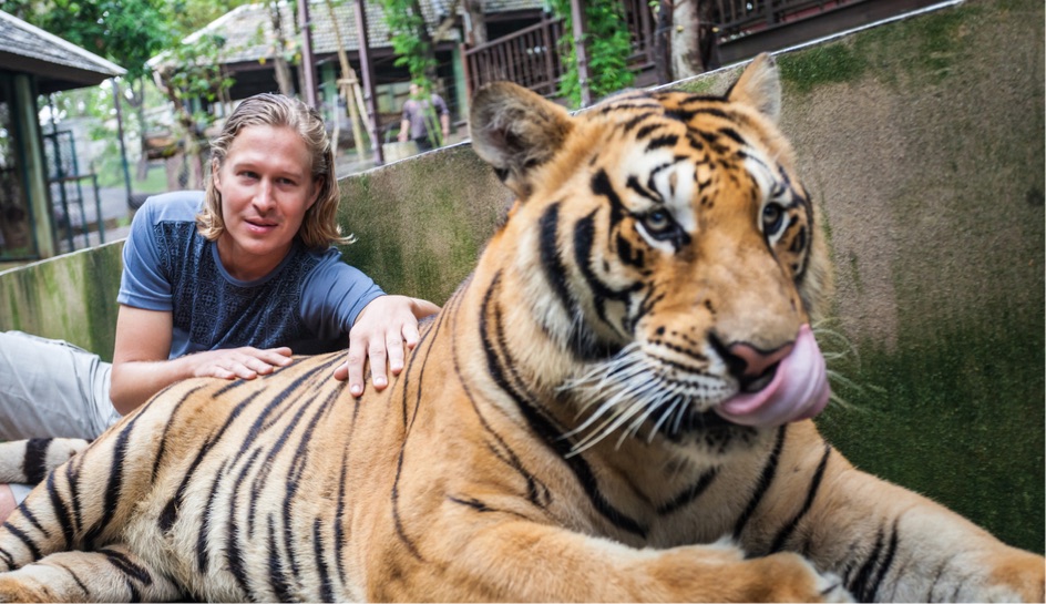 Phuket Tiger Kingdom