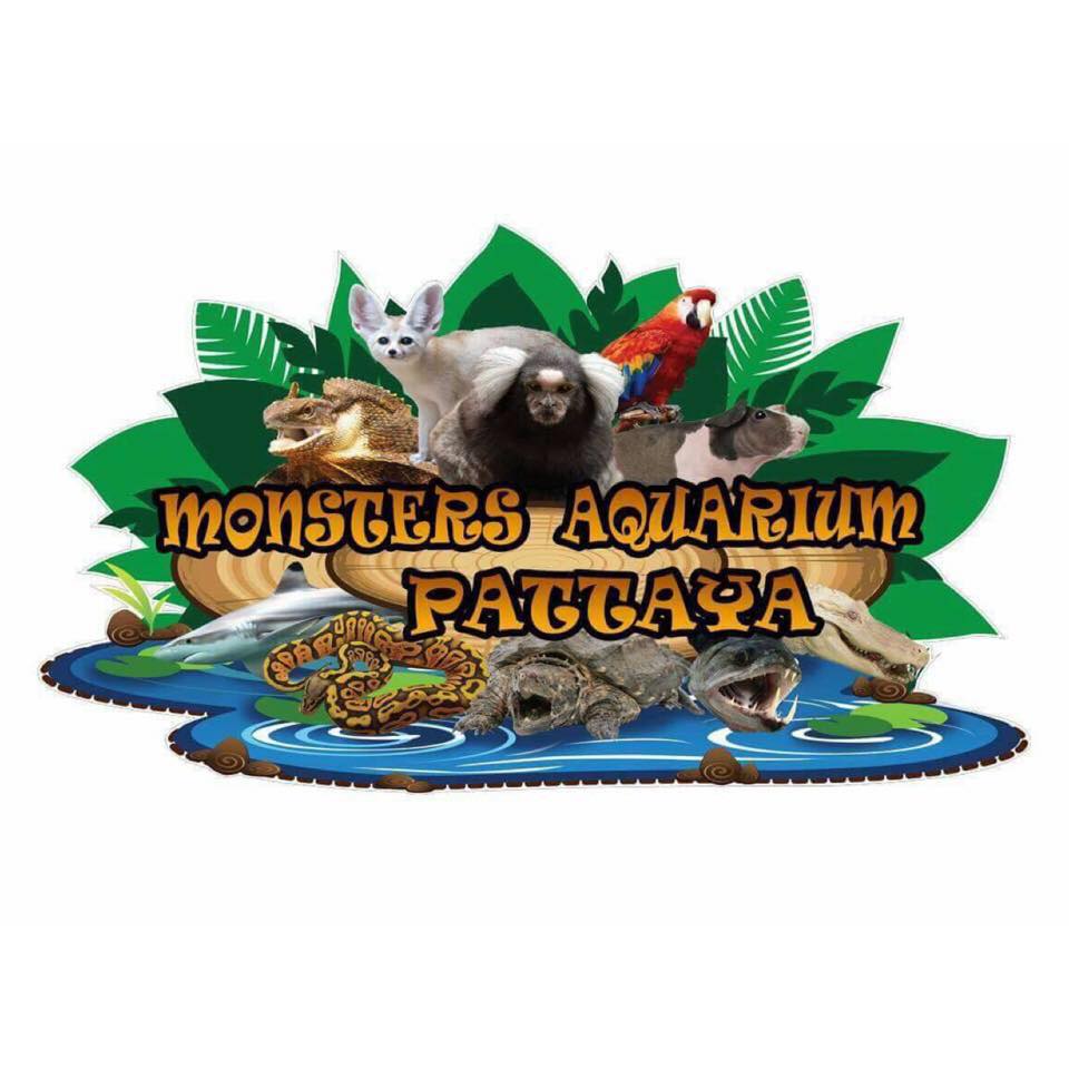 Monsters Aquarium Pattaya