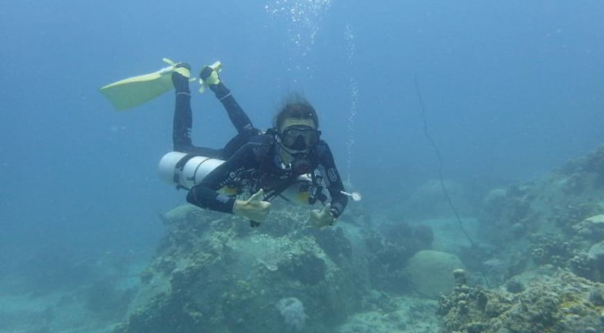 Koh Tao Diving Trips